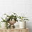 ivy muse brass plant stake | 2 designs