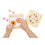 colourful wooden flower press