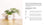 little book of house plants and other greenery | emma sibley