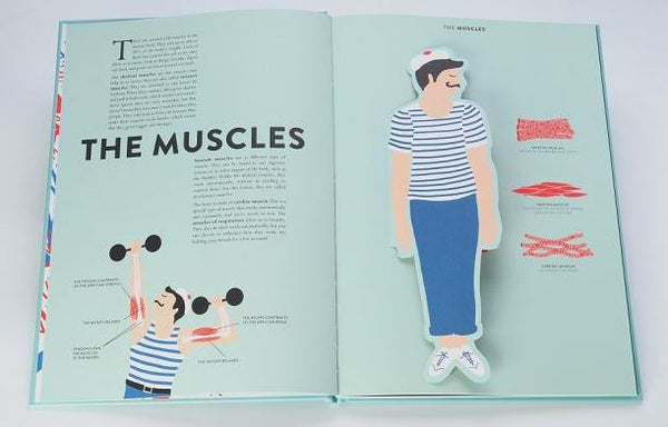 Anatomy, a cutaway look inside | Jean-Claude Druvert – kettu store