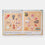 What A Shell Can Tell | Helen Scales, illustrated by Sonia Pulido