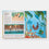 What A Shell Can Tell | Helen Scales, illustrated by Sonia Pulido