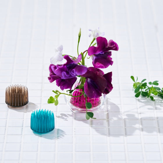 h-concept michi-kusa flower frog