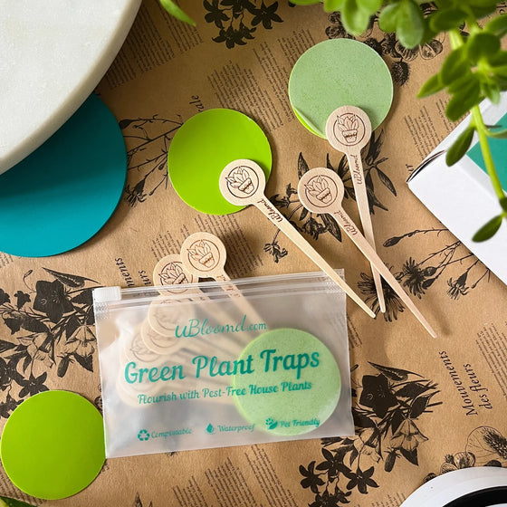 ubloomd green indoor plant traps