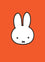 miffy gift cards | boxed set