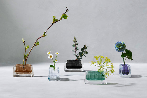 h-concept michi-kusa flower frog