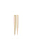 audo copenhagen hydrous watering stick | set of 2