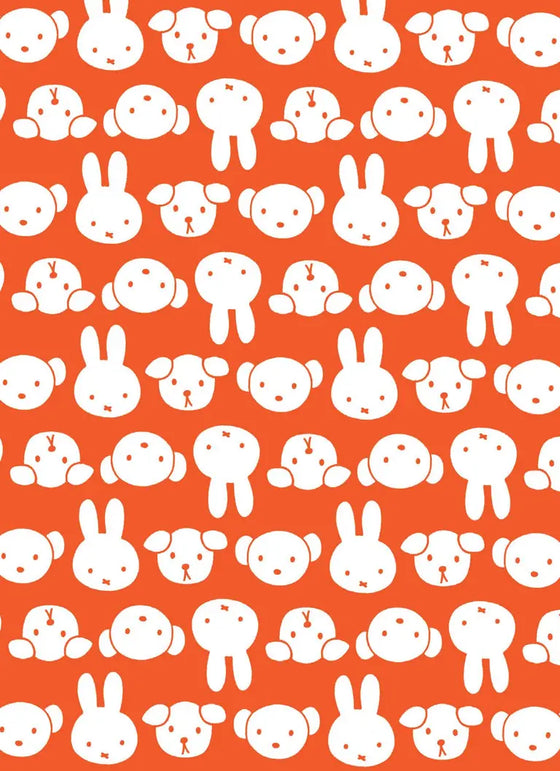 miffy gift cards | boxed set