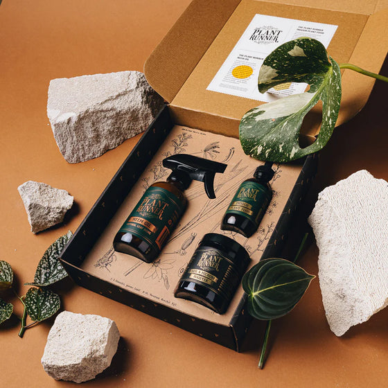 plant runner | plant care booster gift pack