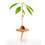 kikkerland terracotta seed sprouters | set of 3