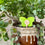 ubloomd green indoor plant traps