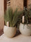 audo copenhagen hydrous watering stick | set of 2