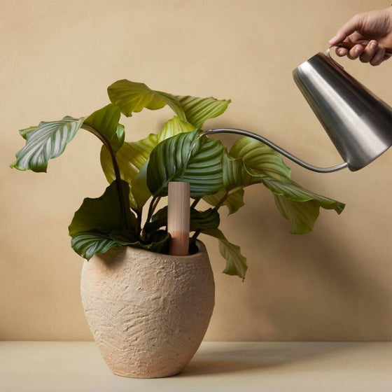 audo copenhagen hydrous watering can | 20cm