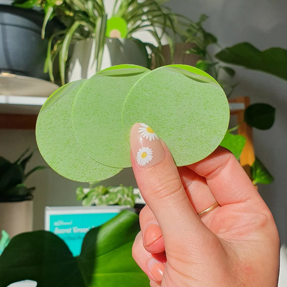 ubloomd green indoor plant traps