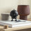 hoptimist bumble | black stained oak