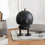 hoptimist bumble | black stained oak