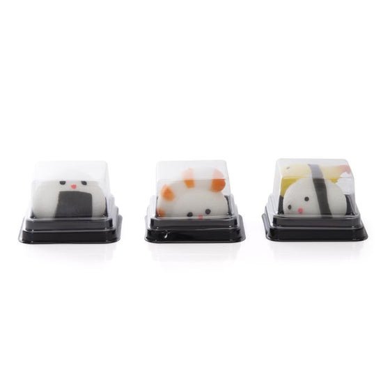 discovery zone squishy sushi