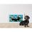 the dog collective half stitch kit