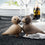 kay bojesen | love birds pair - oak