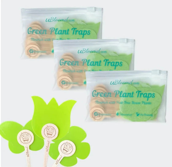ubloomd green indoor plant traps