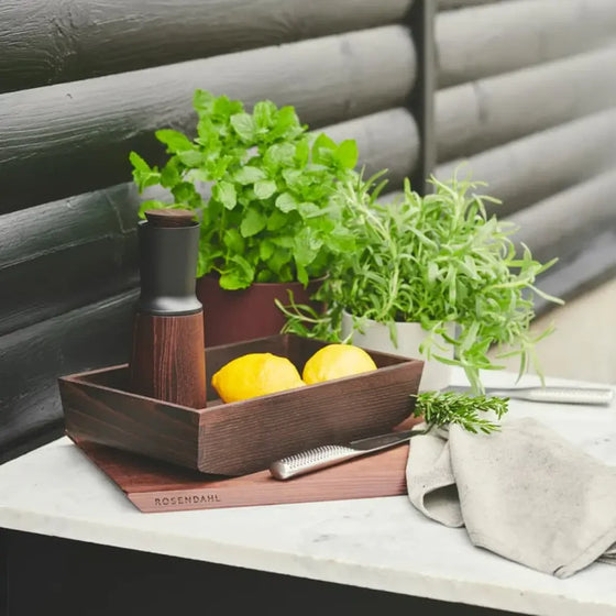 rosendahl rå condiment caddy | thermo ash