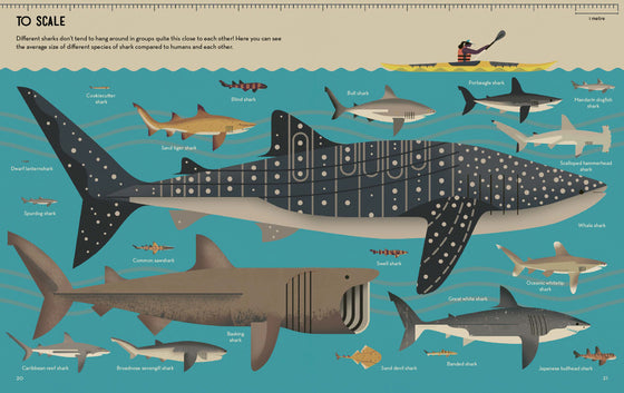 smart about sharks | Owen Davey