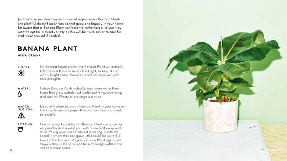 little book of house plants and other greenery | emma sibley