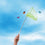 discovery zone | telescopic net