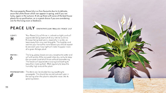 little book of house plants and other greenery | emma sibley