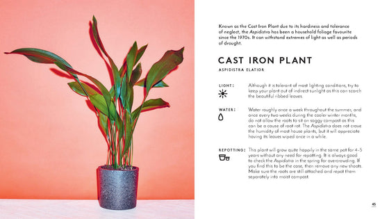 little book of house plants and other greenery | emma sibley