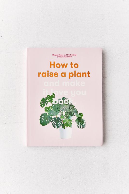 how to raise a plant (and make it love you back) | Morgan Doane and Erin Harding