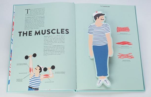 Anatomy, a cutaway look inside | Jean-Claude Druvert – kettu store