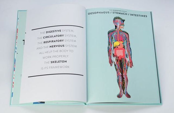 Anatomy, a cutaway look inside | Jean-Claude Druvert