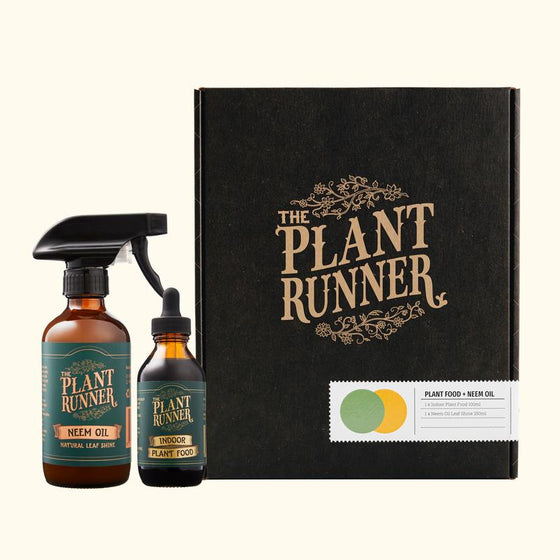 plant runner | plant care essentials gift pack