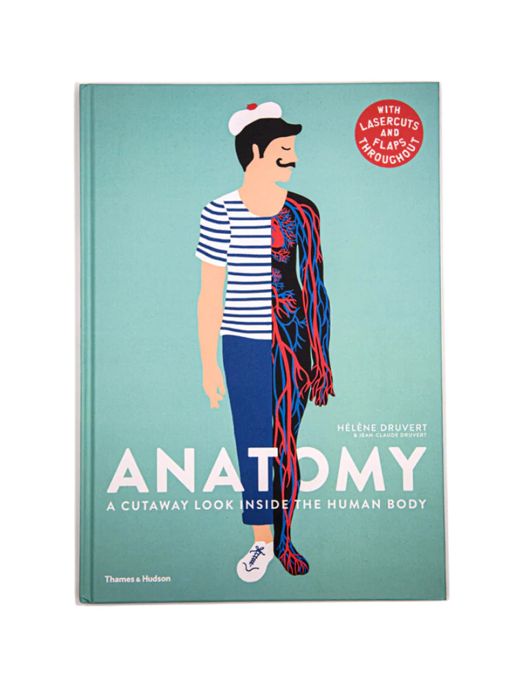 Anatomy, a cutaway look inside | Jean-Claude Druvert – kettu store