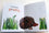 I love you dad with the very hungry caterpillar by Eric Carle | back in