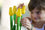 milaniwood domino tulips