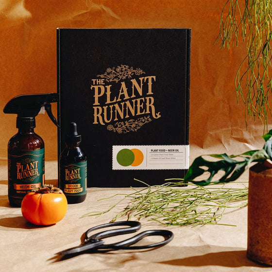 plant runner | plant care essentials gift pack