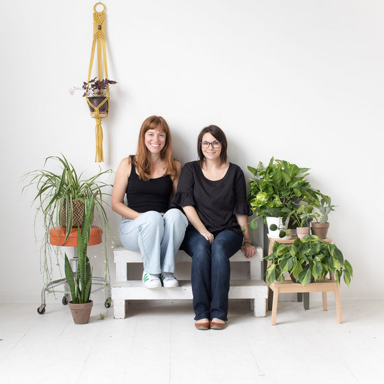 how to raise a plant (and make it love you back) | Morgan Doane and Erin Harding