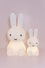 mr maria miffy first light lamp | back in!