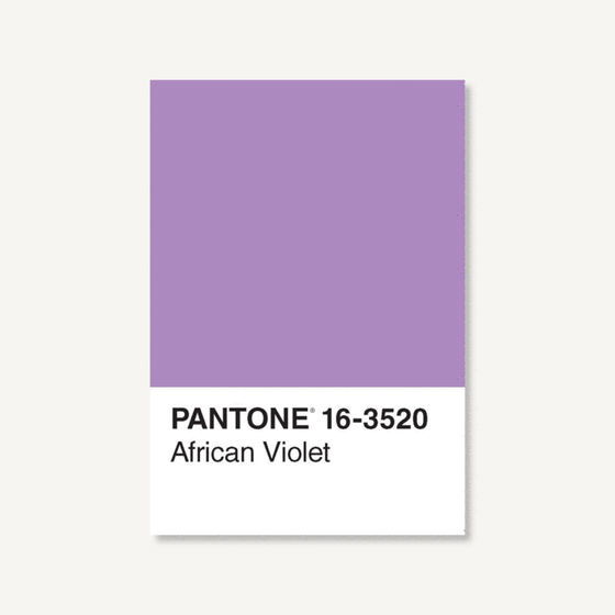 pantone 50 postcards