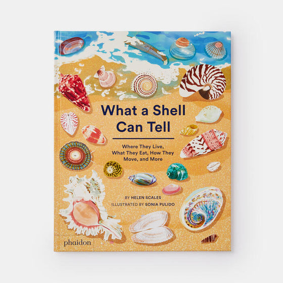 What A Shell Can Tell | Helen Scales, illustrated by Sonia Pulido