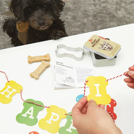 kikkerland dog birthday kit in a tin